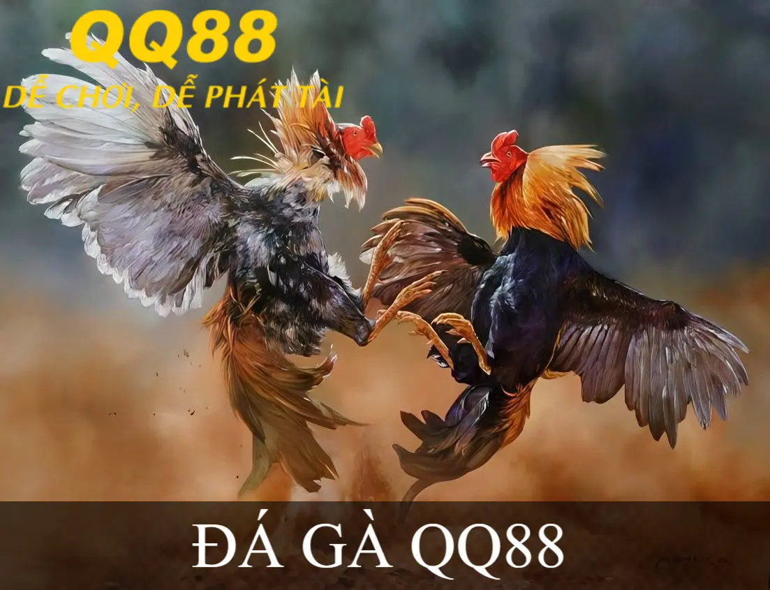 ĐÁ GÀ QQ88
