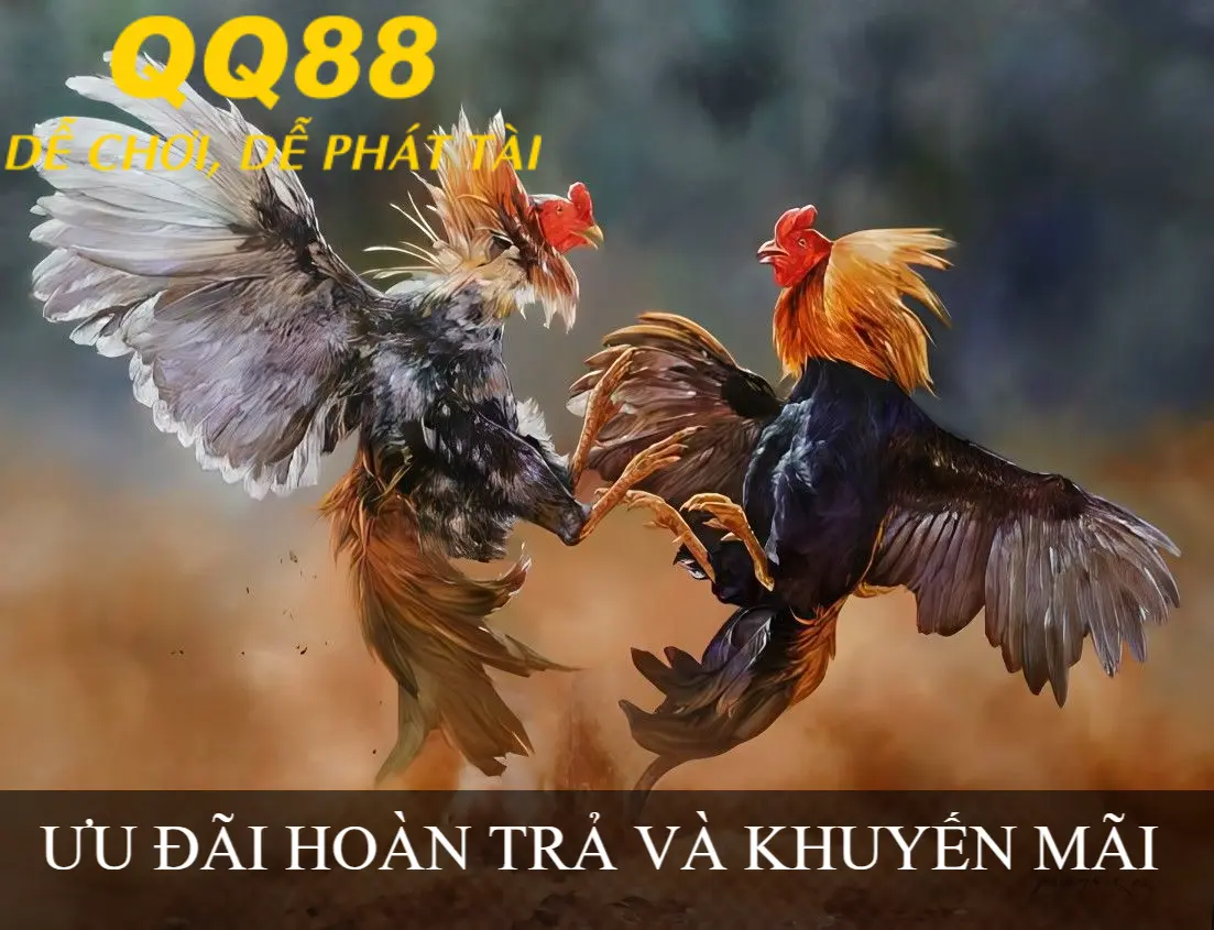 ƯU ĐÃI HOÀN TRẢ QQ88